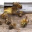 Пасечники Черкащины заявляют, что пестициды убили большинство пчел