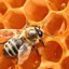 В Саратовской области откроется музей пчелы