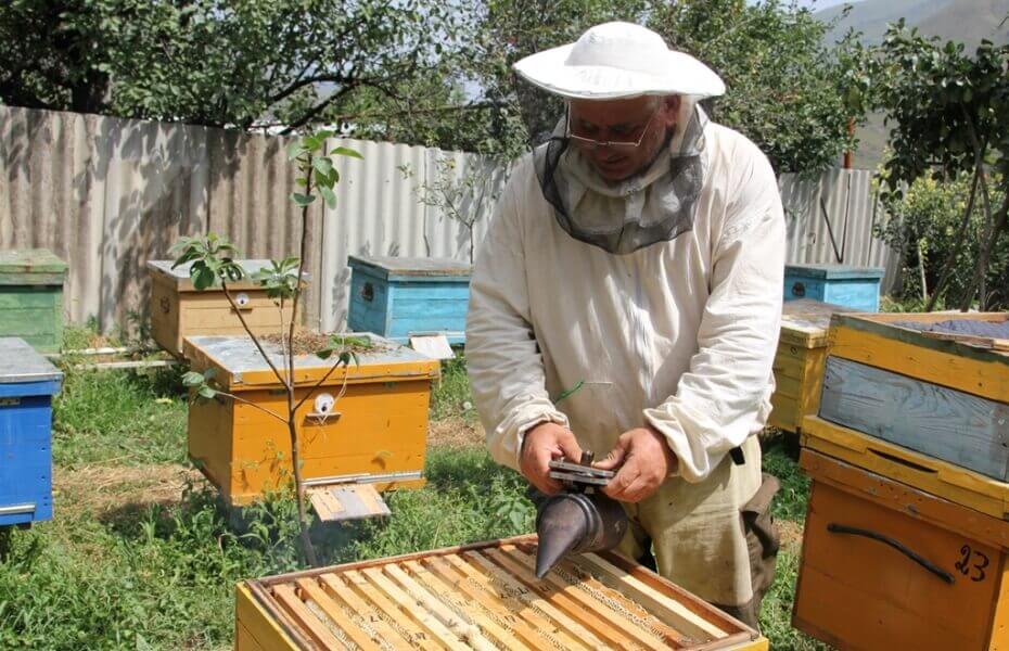 Как разжечь дымарь для пчел, и чем лучше заправлять