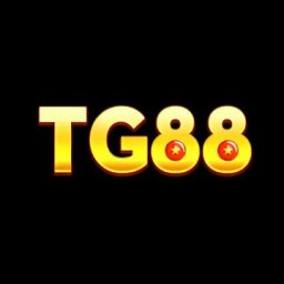 tg88zhcom
