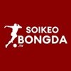 soikeobongdattv