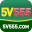 x5v555