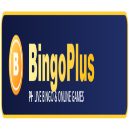 bingoplusfit