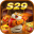 s29