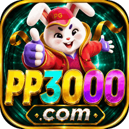 pp3000