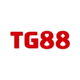 tg8889net