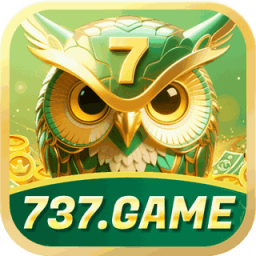 p737game