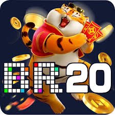 br20