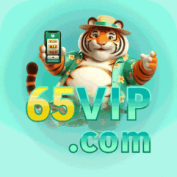 h65vip