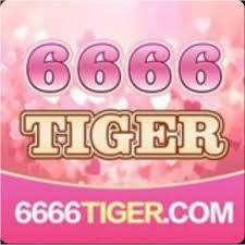 b6666tiger