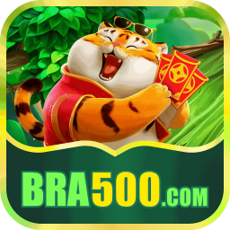 bra500