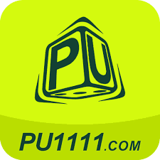 pu1111