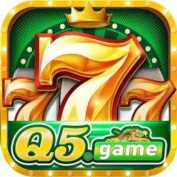q5game