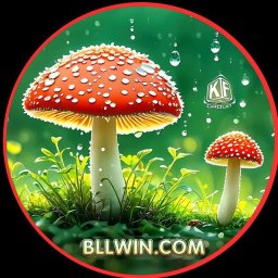 bllwin