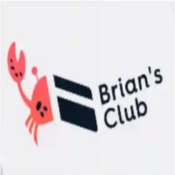 briansclub8