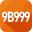 v9b999
