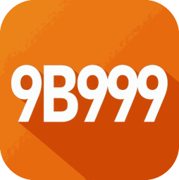 v9b999