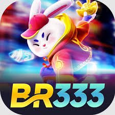 br333