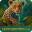 leopardowin