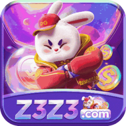 z3z3