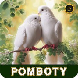 pomboty