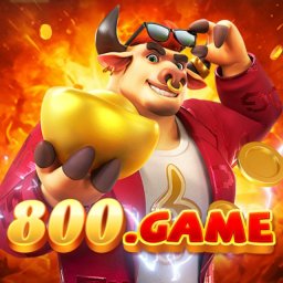 s800game